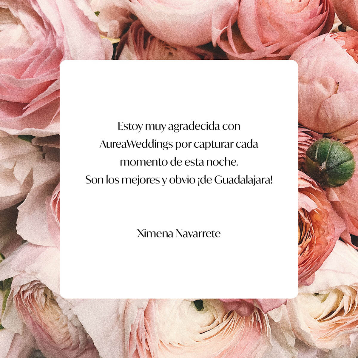 Aurea Weddings // Testimonio de cinematografía