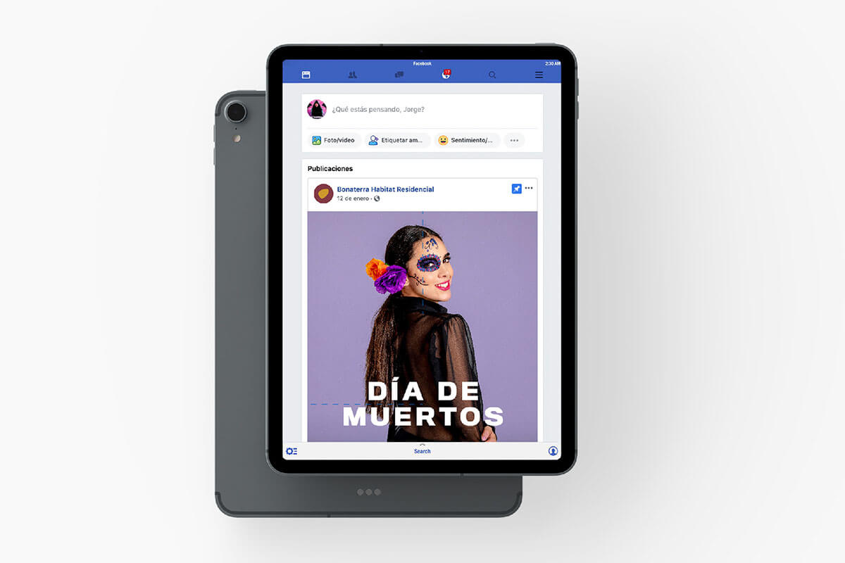Bonaterra // Facebook Post