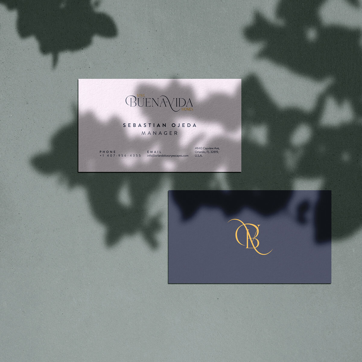 Buenavida Homes // Business Card