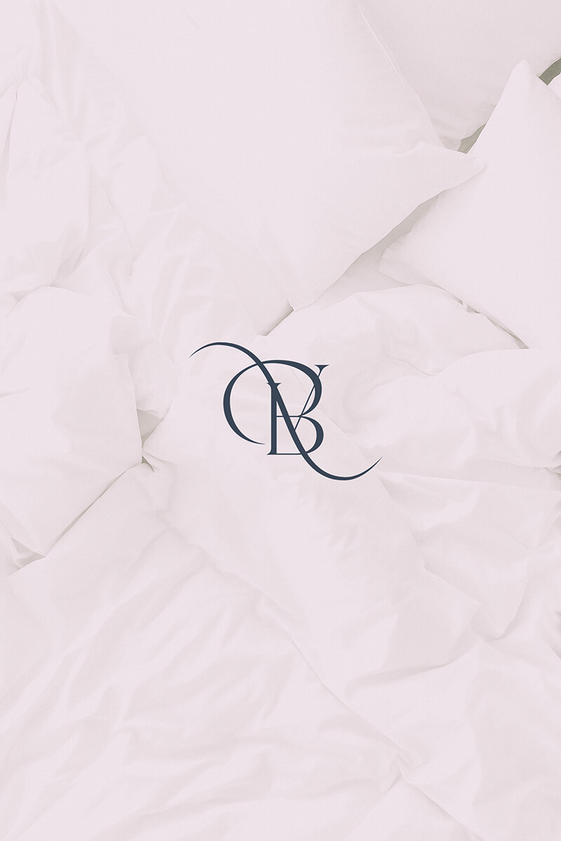 Buenavida Homes // Texture Background Logotype