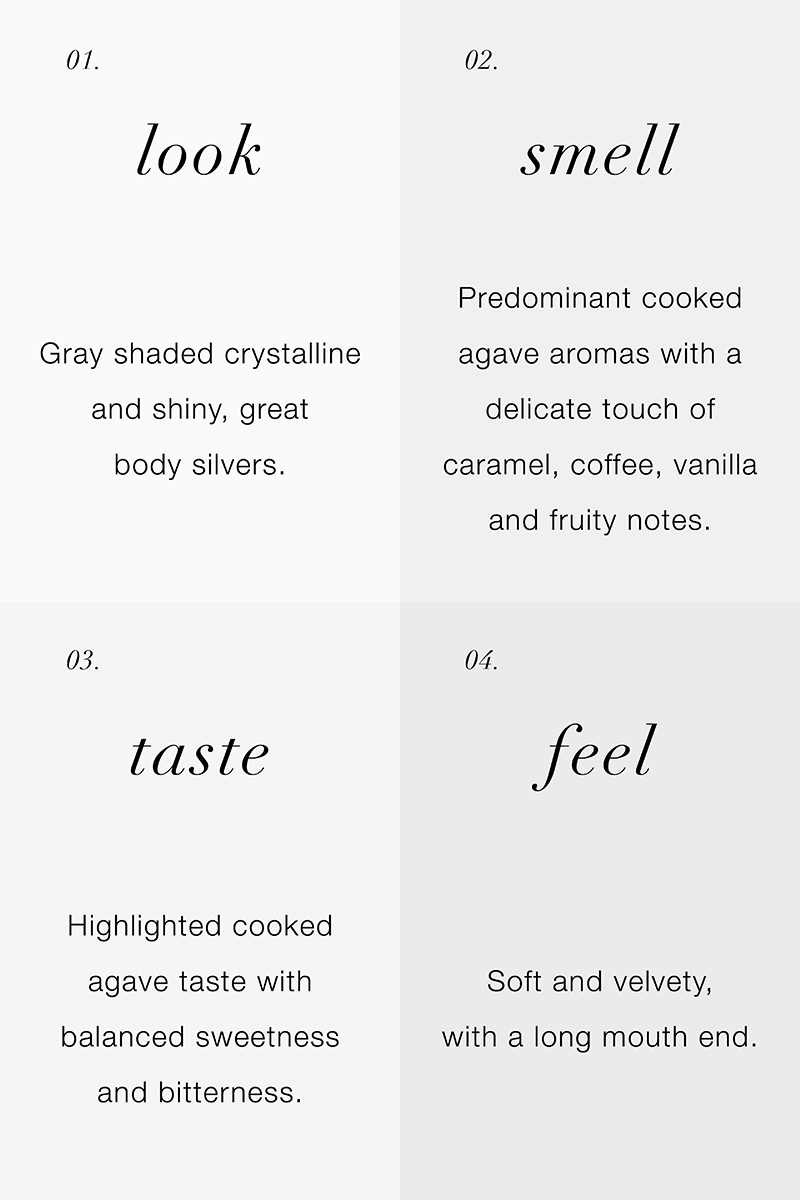 Casa Pujol 87 // Nota de Cata