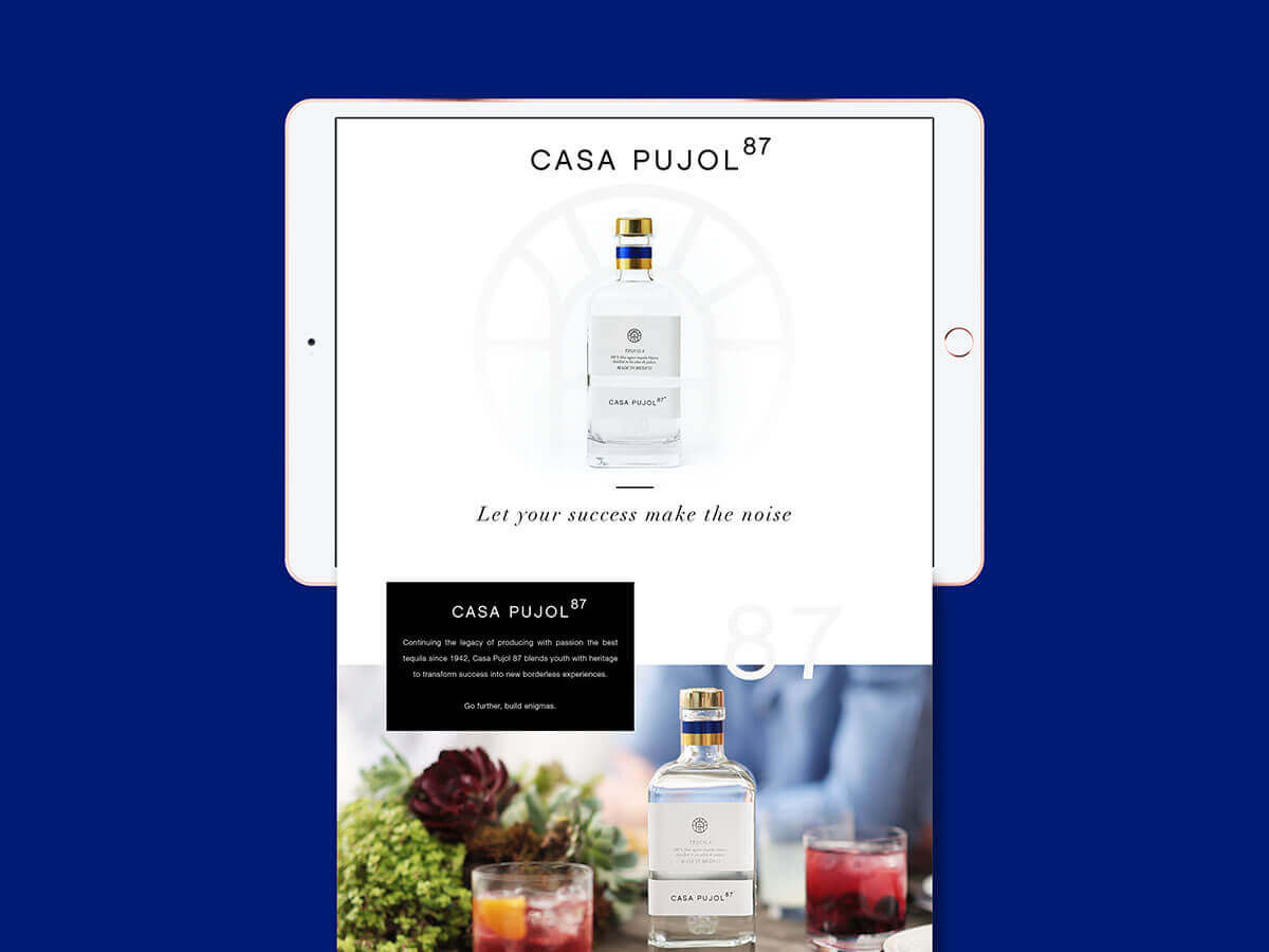 Casa Pujol 87 // Website