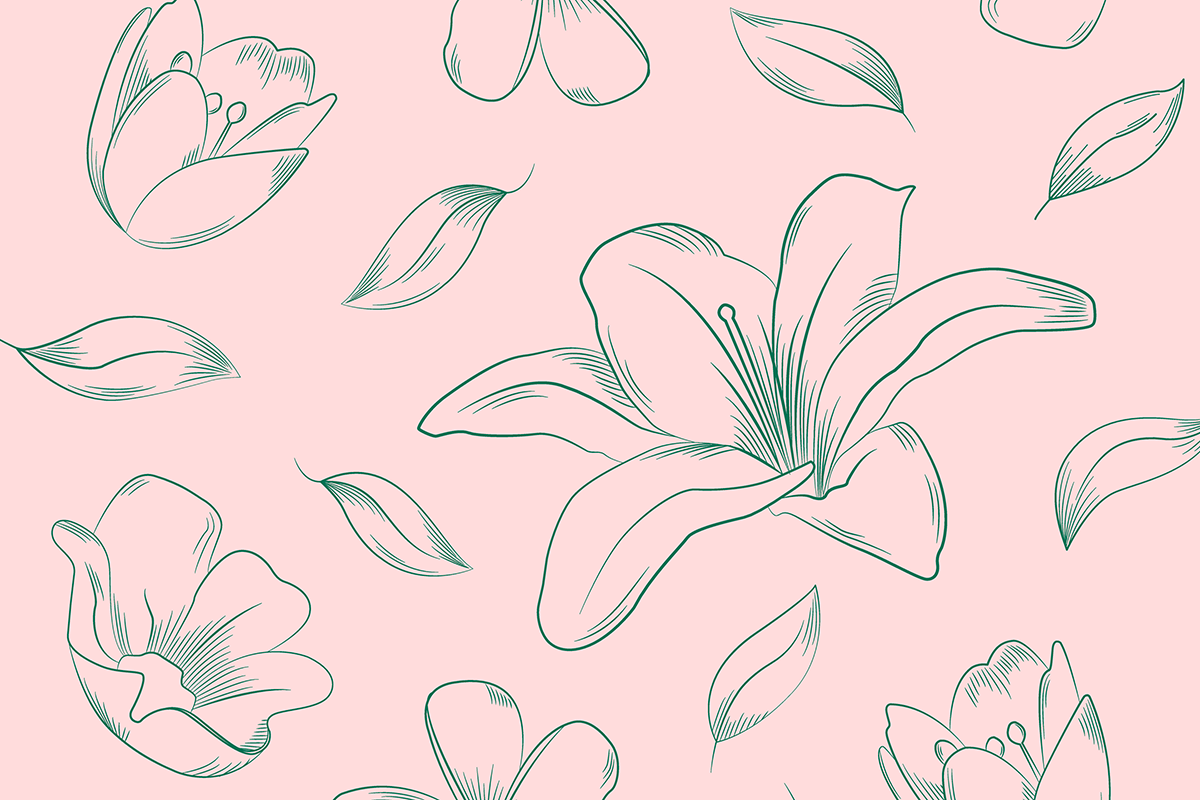 Casablanca // Flowers Illustration