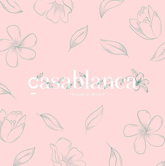 Avec. Brand Strategy // Casablanca