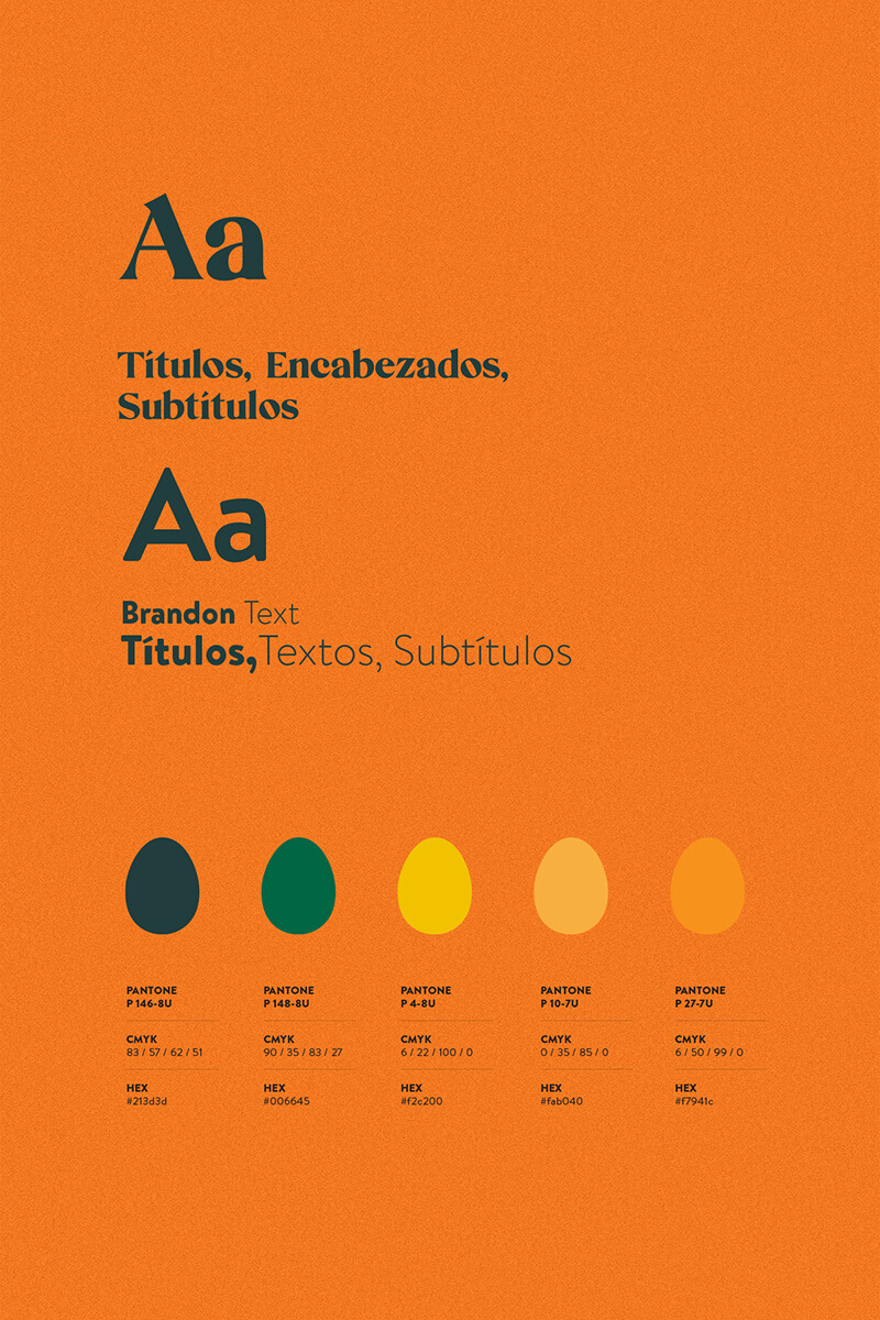 El Cascarón — Restaurante // Paleta de colores y uso tipográfico