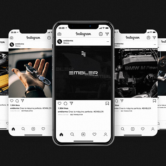 Avec. Brand Strategy // EMBLER