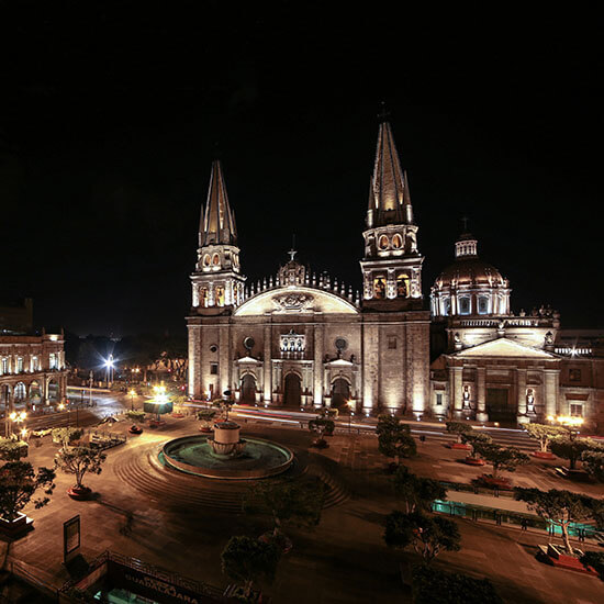 Avec. Brand Strategy // Government