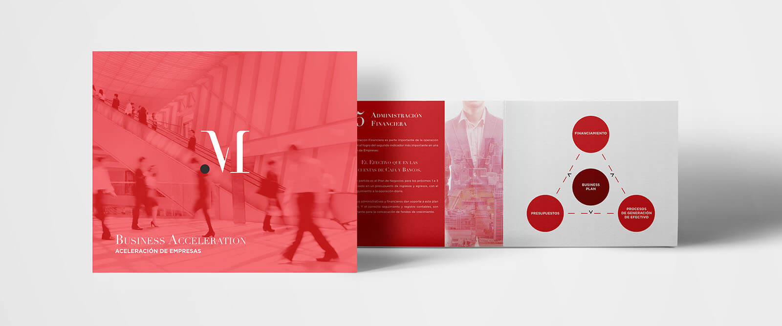 Musketeer // Brochure