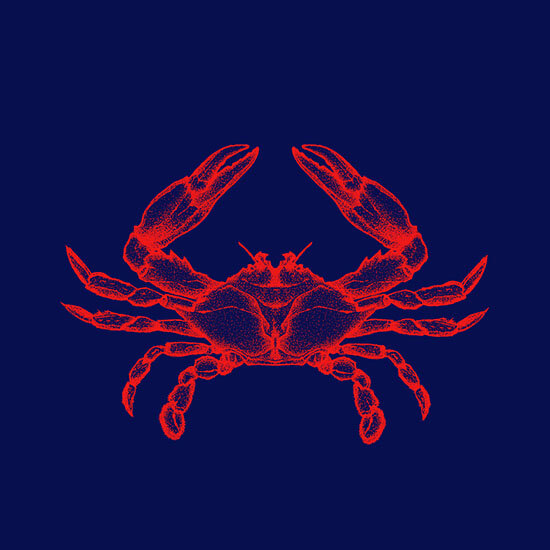 Avec. Brand Strategy // Otero