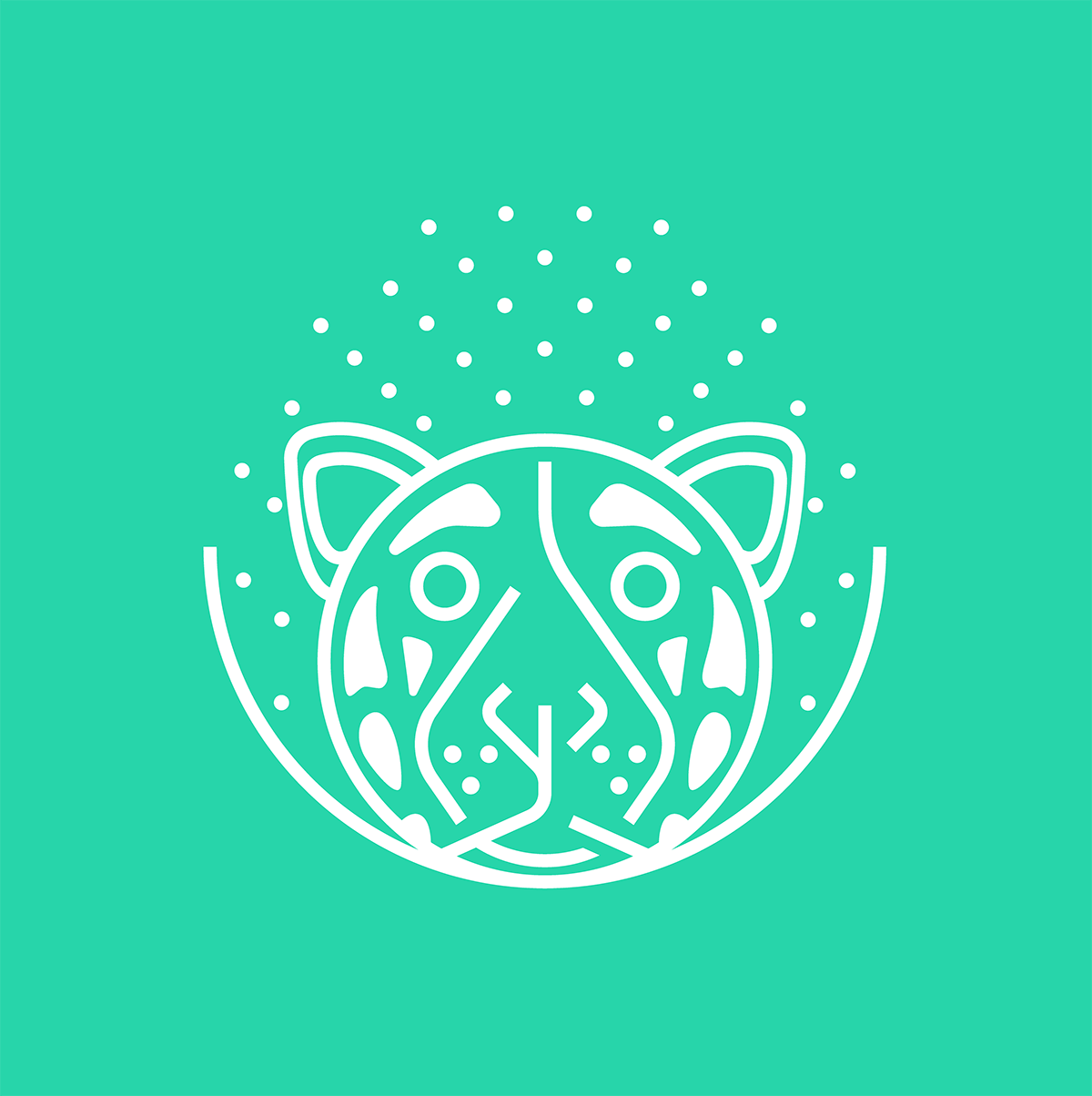 Real de Jade // Jaguar Chiapas