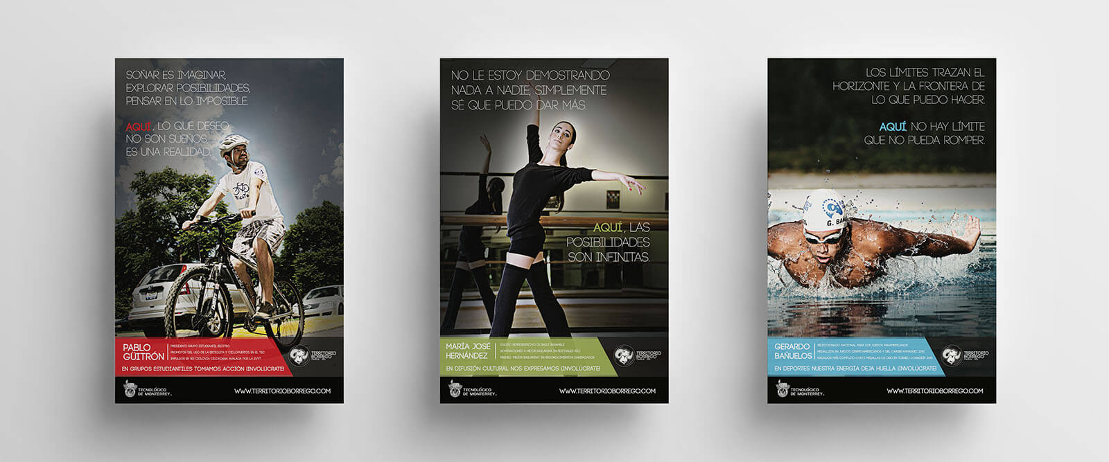 Tecnológico de Monterrey // Territorio Borrego Poster