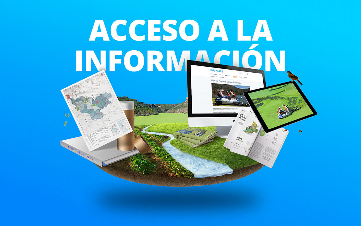 United Nations // Collage Report