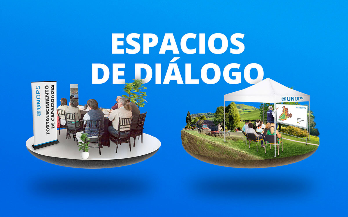 United Nations // Book