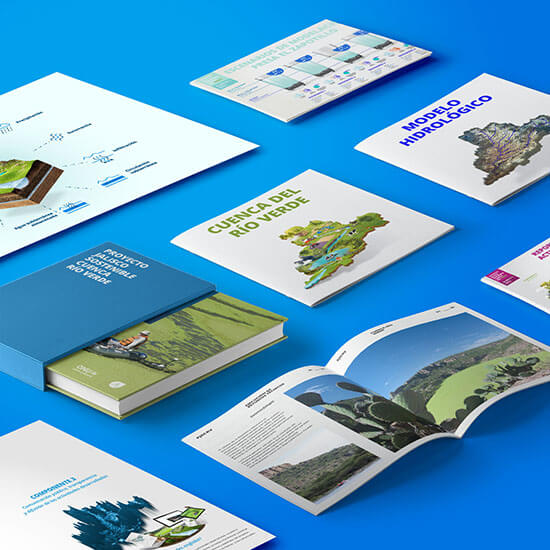 Avec. Brand Strategy // United Nations