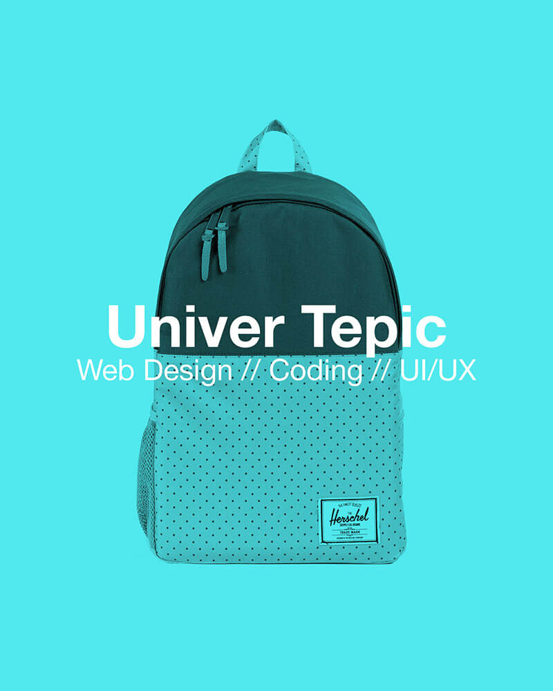 UNIVER Nayarit // Website desing element