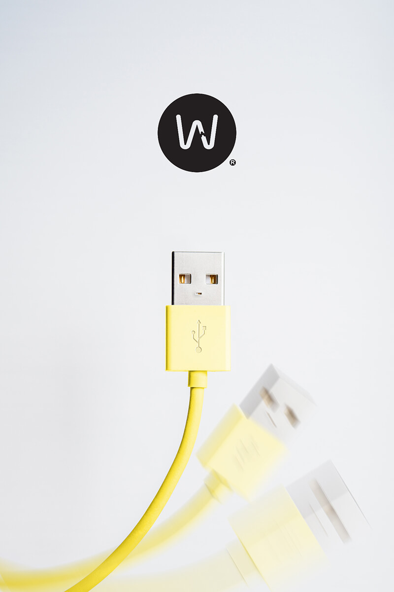 WEPLUG // Isotypes